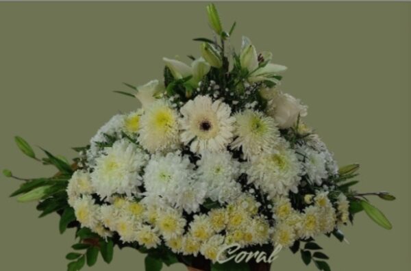 condolencias en blanco